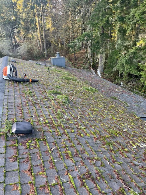 IMG-20250610-WA0058